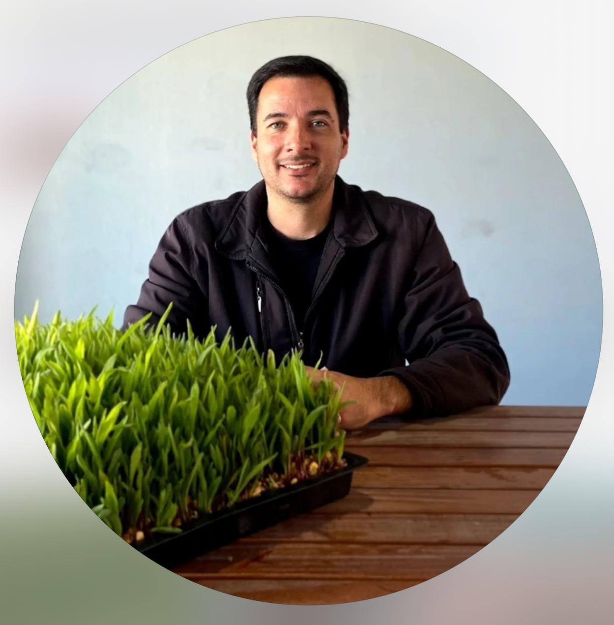 Produtor apresentando forragem hidropônica verde e fresca produzida em 12 dias